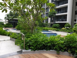 North Park Residences (D27), Apartment #201031542